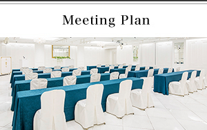 PLUMM Meetingプラン